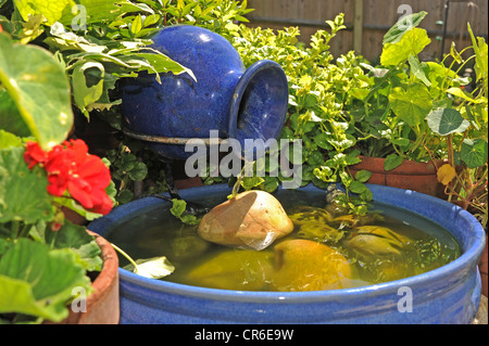 Petit plan d'eau à énergie solaire aidant à économiser de l'argent et de l'environnement dans le jardin intérieur UK Banque D'Images