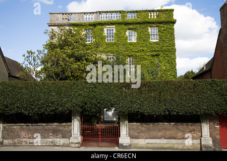 Ivy - pensé pour être Virginia creeper / réducteur japonais / Boston ivy - croissant sur une belle maison à Wareham, Dorset. UK. Banque D'Images