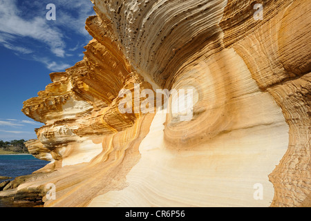 Les falaises peintes de couleur, à motifs et de falaises de grès, sur la côte ouest de l'île de Tasmanie, Maria. Banque D'Images