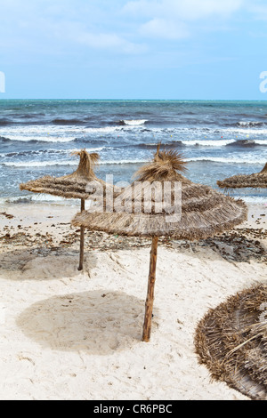 Seacoast orageux avec des parasols en feuille de palmier sur la plage de sable de la Tunisie, l'Afrique Banque D'Images