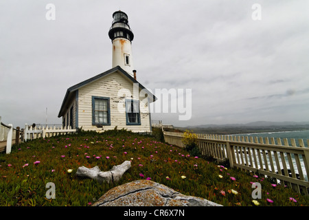 Low Angle View of the Pigeon Point Lighthouse avec des fleurs sauvages et des os de baleines, Comté de San Mateo, Californie Banque D'Images