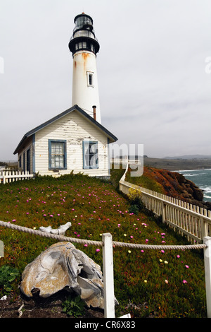 Low Angle vue verticale du Pigeon Point Lighthouse avec des fleurs sauvages et des os de baleines, Comté de San Mateo, Californie Banque D'Images