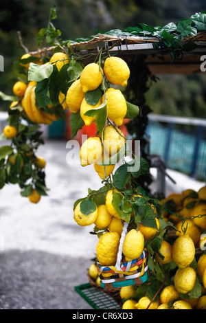Vue rapprochée d'un vendeur de fruits en bordure de stand avec des citrons, Positano, Côte Amalfitaine, Campanie, Italie Banque D'Images