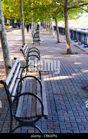 Des bancs de parc sous les arbres, Sinatra Drive, Hoboken, New Jersey Banque D'Images