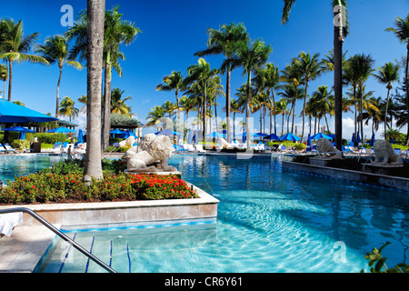 Piscine avec des palmiers et des becs, Lion Wate Resort Hotel The Ritz-Carlton, San Juan, Puerto Rico Banque D'Images