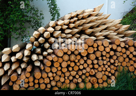 Pile de piquets en bois aiguisé pour l'escrime, Lillinghof, Middle Franconia, Bavaria, Germany, Europe Banque D'Images