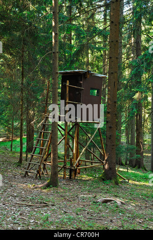 Hunters' soulevées se cacher dans une forêt, Kirchroettenbach, Middle Franconia, Bavaria, Germany, Europe Banque D'Images