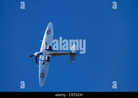 Supermarine Spitfire Tandem Trainer britanniques et alliés - LA DEUXIÈME GUERRE MONDIALE Avion de chasse Banque D'Images