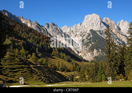 Voir à partir de la Bindalm, ALP, à Mt Muehlsturzhoerner, près de Hintersee Ramsau, Bavière, Allemagne, Europe Banque D'Images