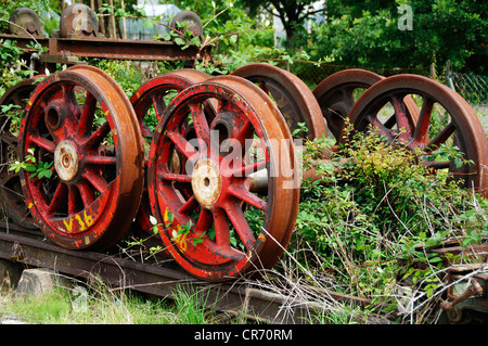 Roues jetées d'une locomotive à vapeur sur une voie de garage, envahi par la Ebermannstadt, Haute-Franconie, Germany, Europe Banque D'Images