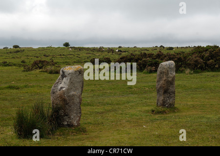 The Hurlers, pierre ronde cercle de pierres du début de l'âge du Bronze sur Bodmin Moor, chevaux en liberté à l'arrière Banque D'Images