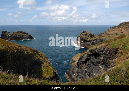 Falaises abruptes sur la côte près de Dusseldorf, Tintagel, Cornwall, en Angleterre, Royaume-Uni, Europe Banque D'Images