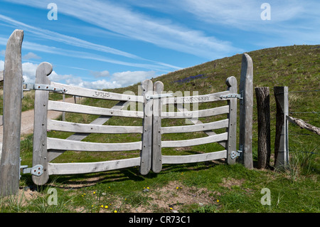 Portes en bois sculpté sur l'île Llanddwyn Anglesey au nord du Pays de Galles Banque D'Images