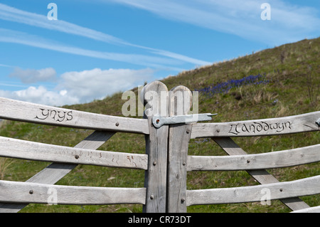 Portes en bois sculpté sur l'île Llanddwyn Anglesey au nord du Pays de Galles Banque D'Images