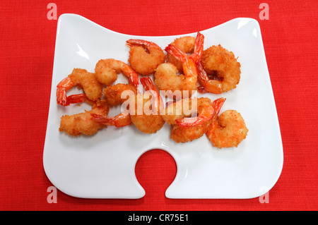 En friture de crevettes (Caridina cf. cantonensis var. Crystal rouge), servi sur une plaque blanche Banque D'Images