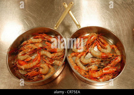 Crevettes fraîchement préparé (Caridina cf. cantonensis var. Crystal rouge) dans deux casseroles en acier inoxydable Banque D'Images