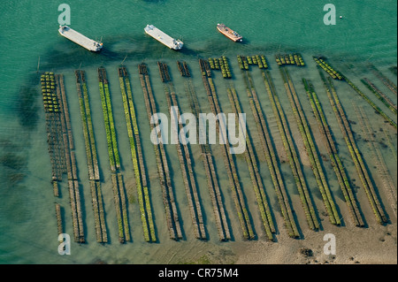 France, Morbihan, Golfe du Morbihan, les parcs à huîtres (vue aérienne) Banque D'Images