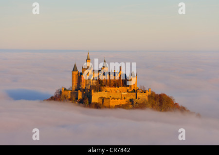 Le château de Burg Hohenzollern dans la lumière du matin, tôt le matin, brouillard, Jura souabe, Bade-Wurtemberg, Allemagne, Europe Banque D'Images