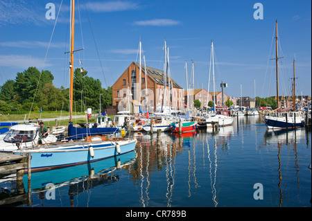 Port, Orth, Fehmarn Island, mer Baltique, Schleswig-Holstein, Allemagne, Europe Banque D'Images