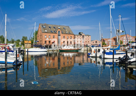 Port, Orth, Fehmarn Island, mer Baltique, Schleswig-Holstein, Allemagne, Europe Banque D'Images