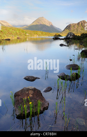 L'été sur l'île de Skye, Marsco reflétée dans un petit lochan à Glen Sligachan Banque D'Images