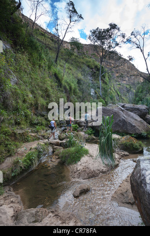 Canyon verdoyant, Parc National d'Isalo, Ihorombe Region de Madagascar. Banque D'Images