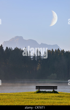 Banc sur la rive du lac Forggensee, matin ambiance avec la Lune, Allgaeu, Bavaria, Germany, Europe, la composition Banque D'Images