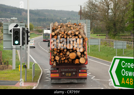 Un camion chargé de couper du bois sur la route de l'A487 traverse quatre bypass - près de Welshpool powys Pays de Galles UK Banque D'Images