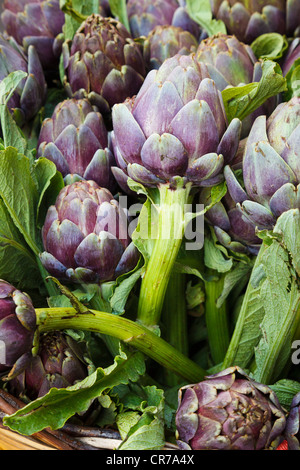 Artichauts sur un marché à rome Banque D'Images