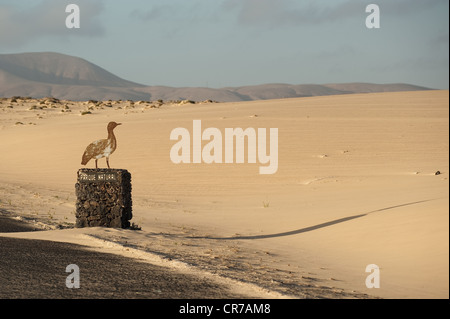 Espagne, Canaries, l'île de Fuerteventura, Corralejo, parc naturel de Corralejo, les dunes de sable Banque D'Images