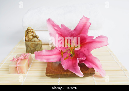 Lily avec du savon et de l'ensemble du bambou Bouddha de Jade Banque D'Images