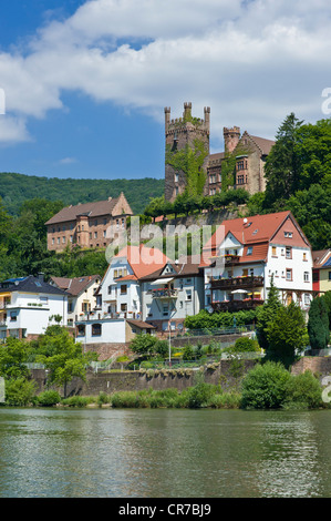 Château Mittelburg, Neckarsteinach, Valley-Odenwald Neckar nature park, Hesse, Germany, Europe Banque D'Images