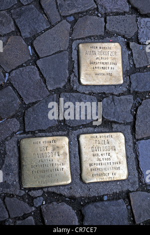 Des plaques commémoratives, que l'on appelle des pierres d'achoppement pour commémorer les Juifs déportés, intégrés dans la chaussée, Berlin, PublicGround Banque D'Images