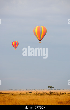 Ballons à air chaud s'élevant au-dessus de la Masai Mara tôt le matin, Kenya, Afrique de l'Est, l'Afrique Banque D'Images