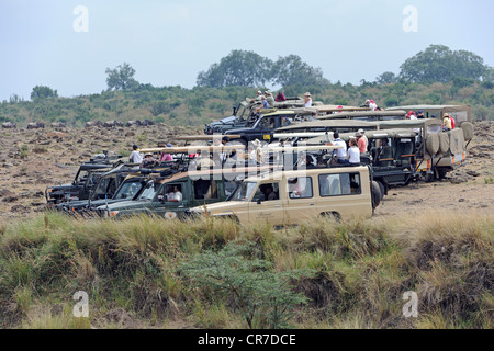 Safari sur la rivière Mara jeeps de touristes en attente de la migration des gnous, Masai Mara, Kenya, Afrique de l'Est, l'Afrique Banque D'Images