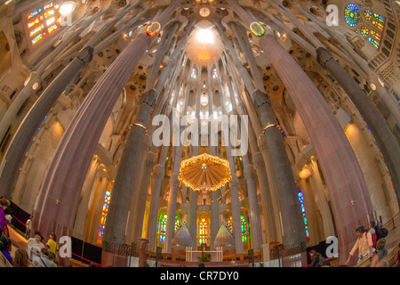 Plafond de l'église, l'autel avec un baldaquin canopy ou d'état, arbre des piliers et des baies, de l'intérieur de la Sagrada Familia, Banque D'Images