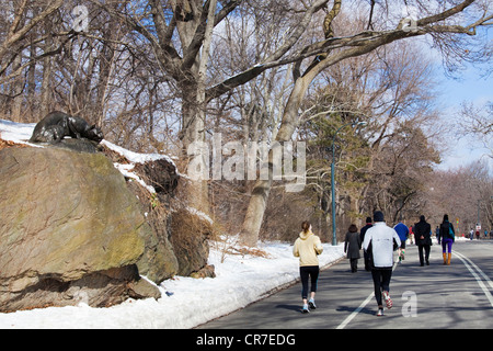 United States, New York, Manhattan, Central Park en hiver sous la neige, statue en bronze par le sculpteur Edward Kemeys de un Banque D'Images