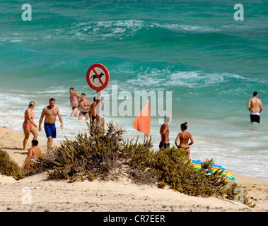 Plage, beach life, signe, pas de chiens sur la plage, Fuerteventura, Canary Islands, Spain, Europe Banque D'Images