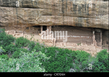 Temple du feu, Cliff dwellings des Américains autochtones, environ 800 ans, Mesa Verde National Park, site classé au Patrimoine Mondial de l'UNESCO Banque D'Images