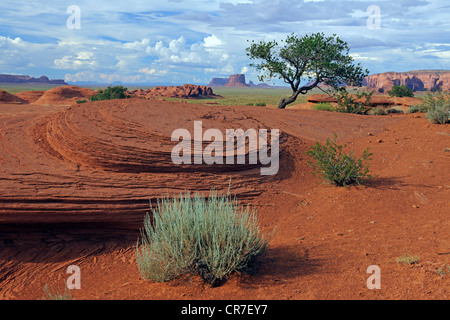 Paysage typique de grès rouge dans Mystery Valley, Arizona, USA Banque D'Images