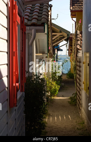 France, Gironde, bassin d'Arcachon, l'Herbe Cap Ferret, petite rue du village ostréicole Banque D'Images