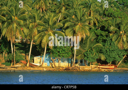 République dominicaine, Samana Peninsula, Sanchez Banque D'Images