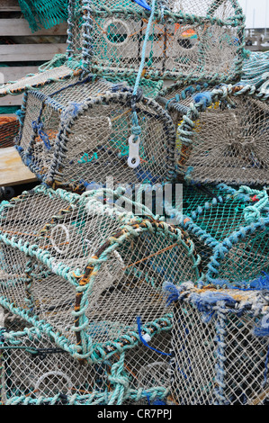 Le homard et les casiers (nasse) par le port du port de pêche de Pittenweem Fife Banque D'Images