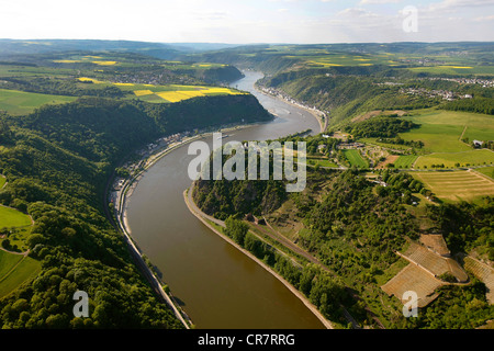 Vue aérienne, Loreley Rock, Urbar, Rhin, l'eau basse vallée du Haut-Rhin moyen, site du patrimoine mondial, Rhénanie-Palatinat Banque D'Images