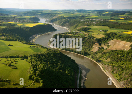 Vue aérienne, Loreley Rock, Oberwesel, Rhin, l'eau basse vallée du Haut-Rhin moyen, site du patrimoine mondial Banque D'Images