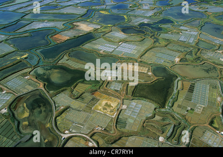 France, Loire Atlantique, Guérande, les marais salants entre Batz et Le Pouliguen (vue aérienne) Banque D'Images