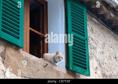 L'Espagne, Îles Baléares, Mallorca, village de montagne de Valldemossa Banque D'Images
