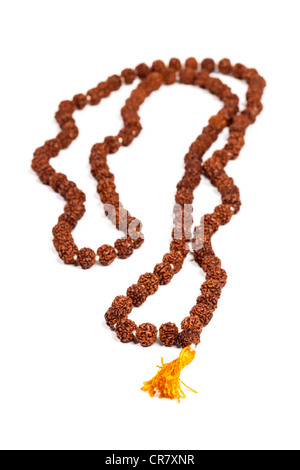 Hindouiste ou bouddhiste Japa Mala (chapelet) faite de Rudraksha isolated Banque D'Images