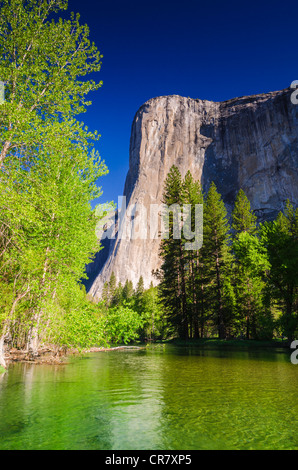 El Capitan au-dessus de la rivière Merced, Yosemite National Park, California USA Banque D'Images