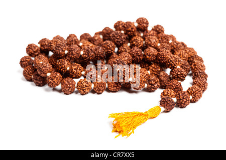 Hindouiste ou bouddhiste Japa Mala (chapelet) faite de Rudraksha isolated Banque D'Images